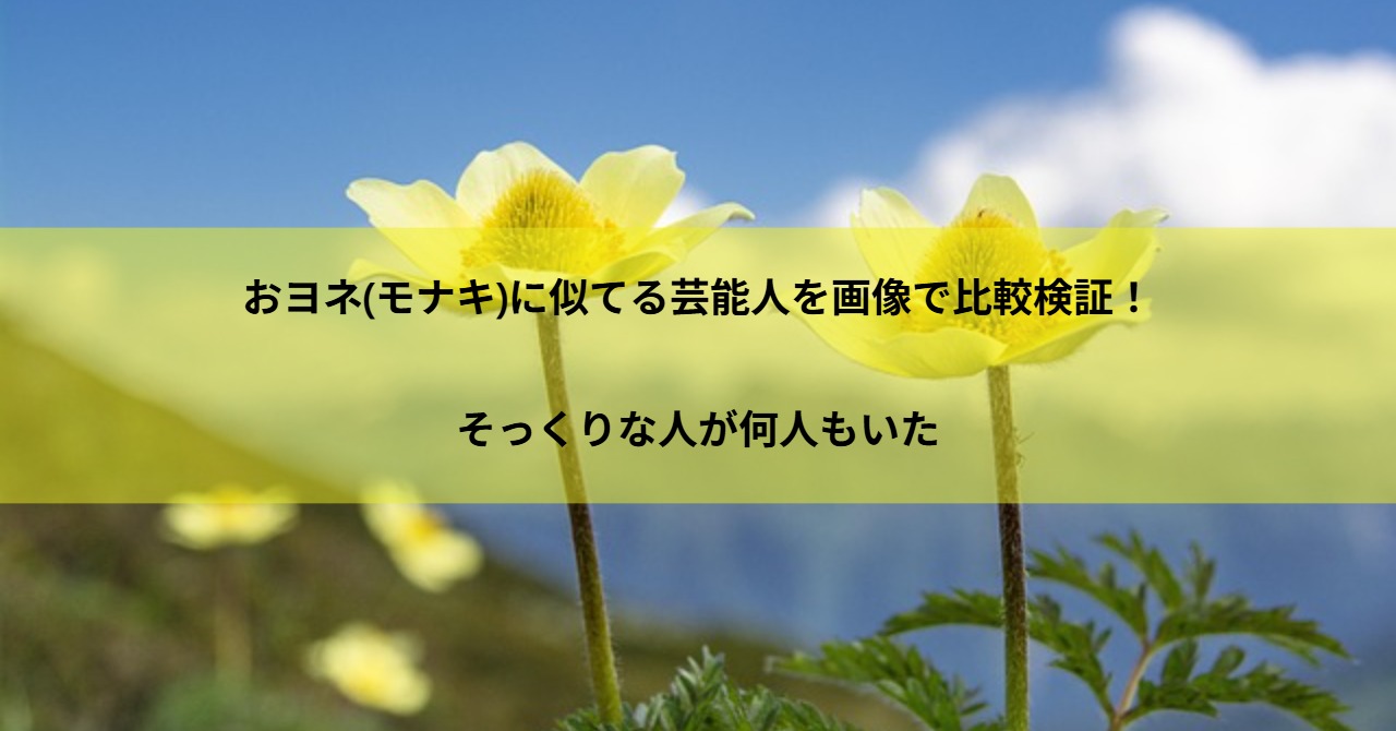おヨネ(モナキ)に似てる芸能人を画像で比較検証！そっくりな人が何人もいた