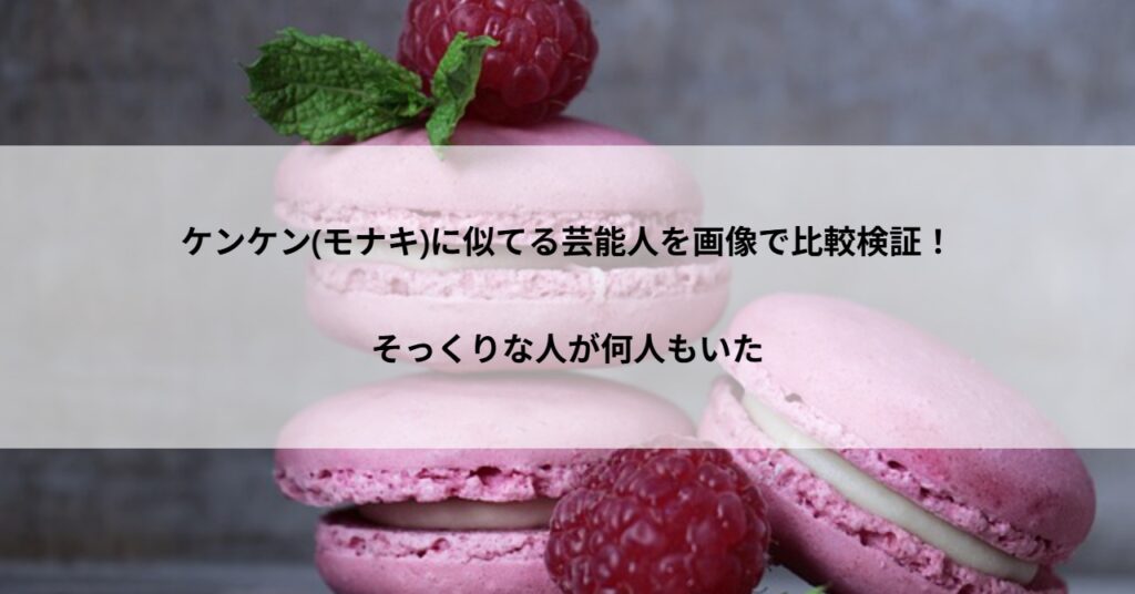 ケンケン(モナキ)に似てる芸能人を画像で比較検証!そっくりな人が何人もいた