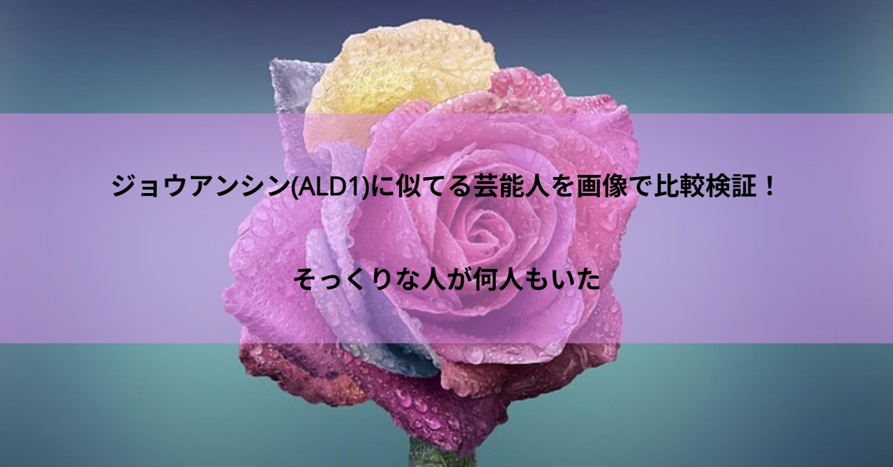 ジョウアンシン(ALD1)に似てる芸能人を画像で比較検証！そっくりな人が何人もいた